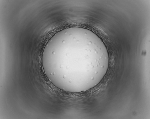 X0000091180917200708091043