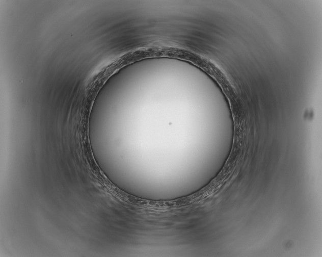 X0000091180919200708091043