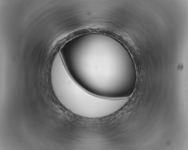 X0000091180920200708091043