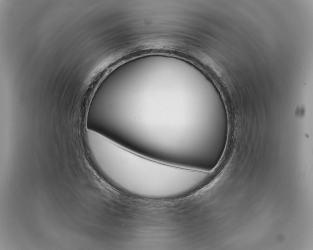 X0000091180922200708091043