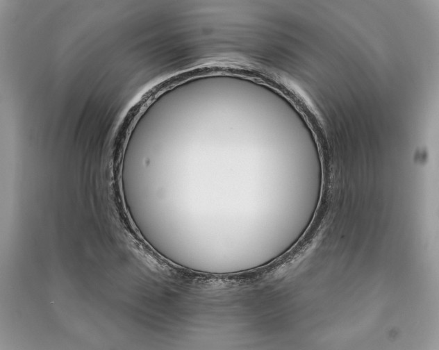 X0000091180923200708091043