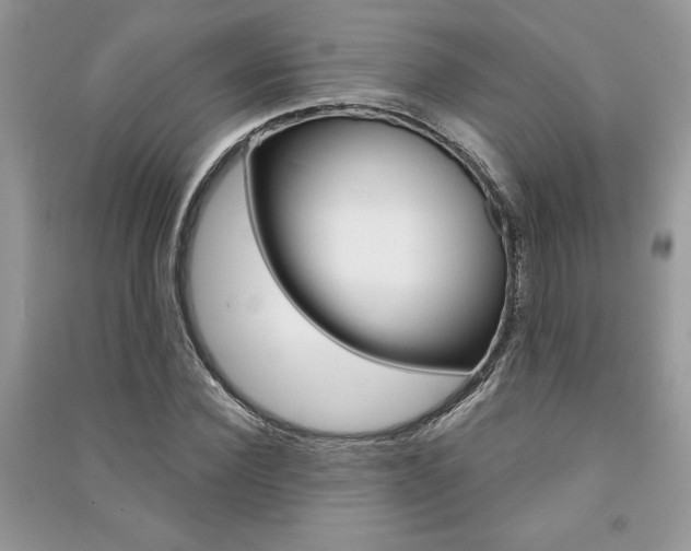 X0000091180924200708091043