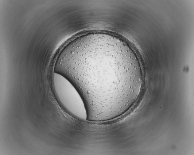 X0000091180925200708091043