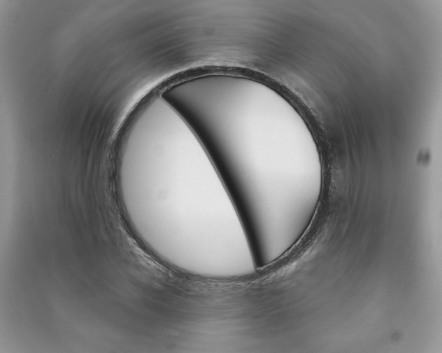 X0000091180926200708091043
