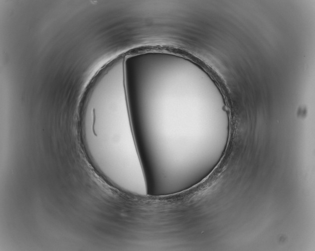X0000091180927200708091043