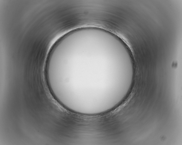 X0000091180928200708091043