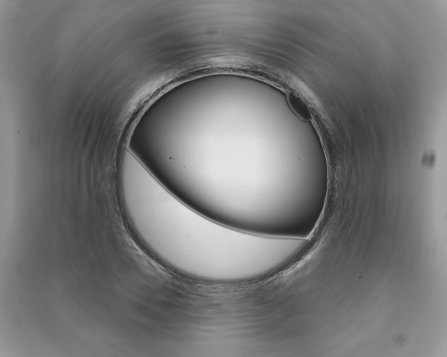 X0000091180930200708091043