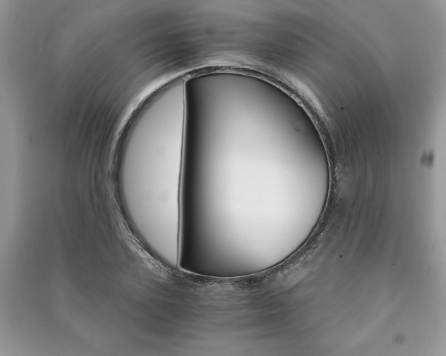 X0000091180931200708091043