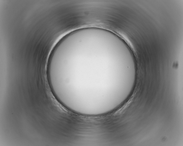 X0000091180932200708091043