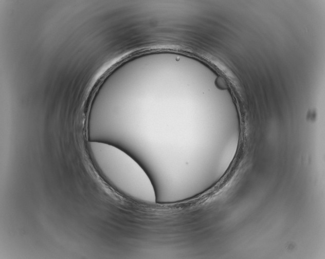 X0000091180933200708091043