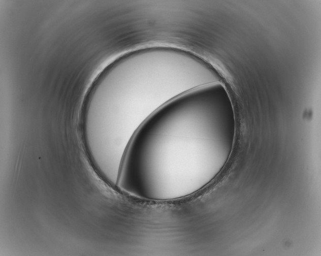 X0000091180934200708091043