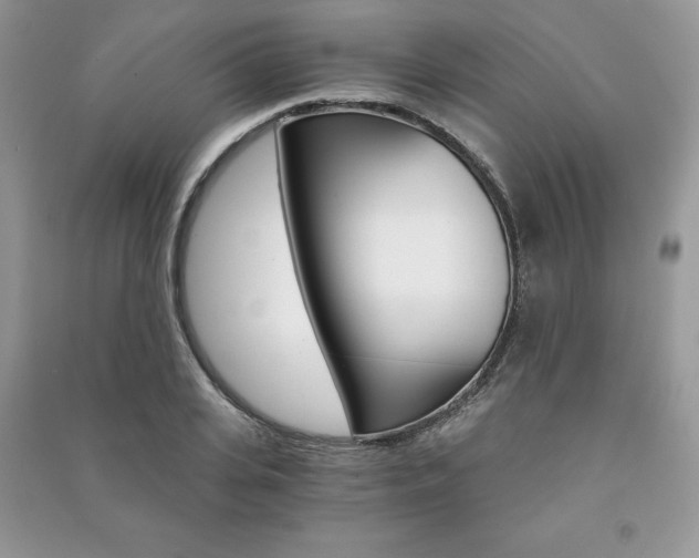 X0000091180935200708091043