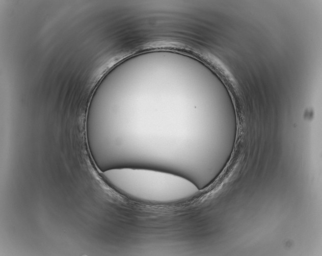 X0000091180937200708091043