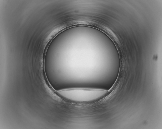 X0000091180938200708091043