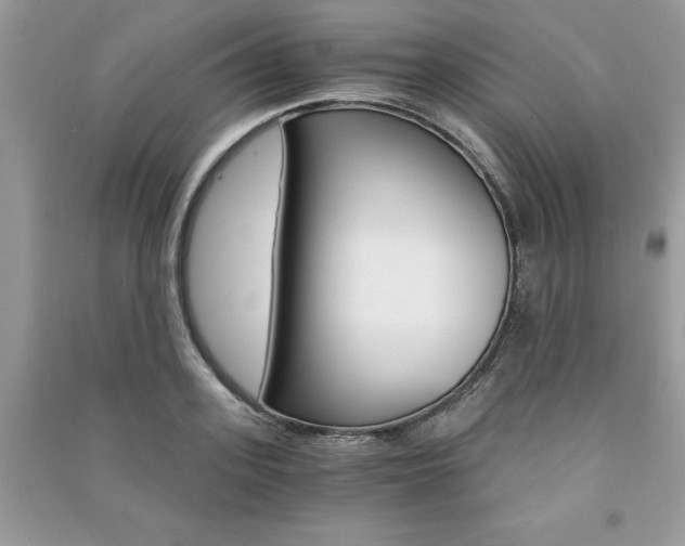X0000091180939200708091043