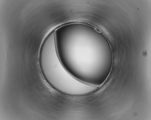 X0000091180940200708091043