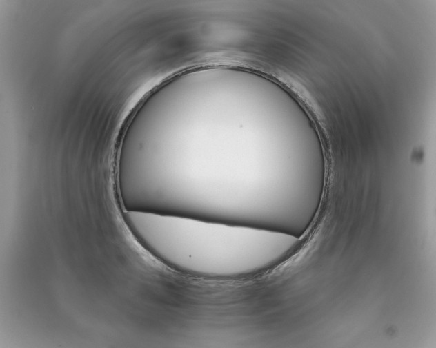 X0000091180941200708091043