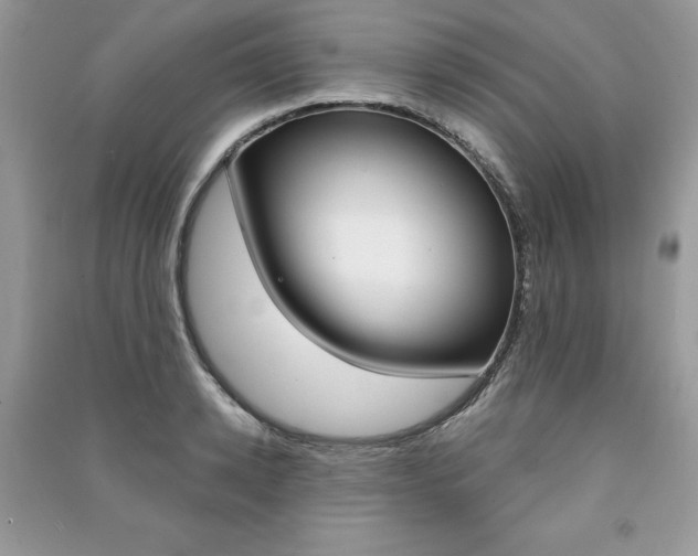 X0000091180942200708091043