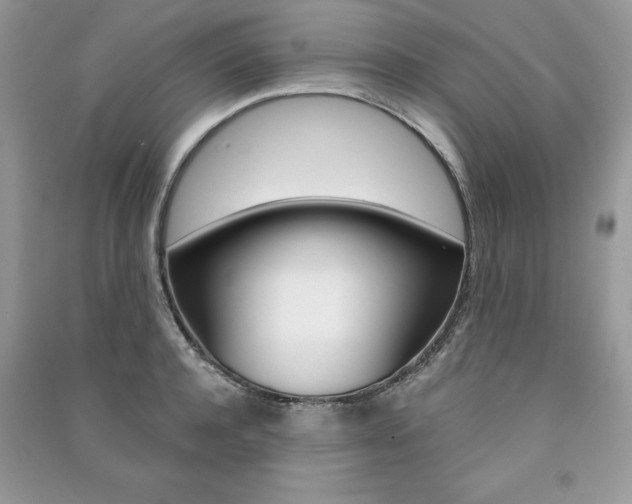X0000091180944200708091043