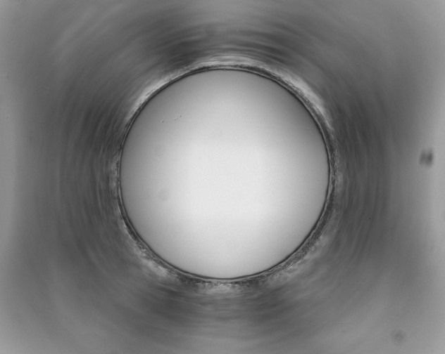 X0000091180945200708091043