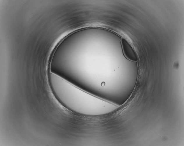 X0000091180947200708091043