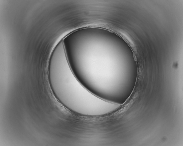 X0000091180948200708091043