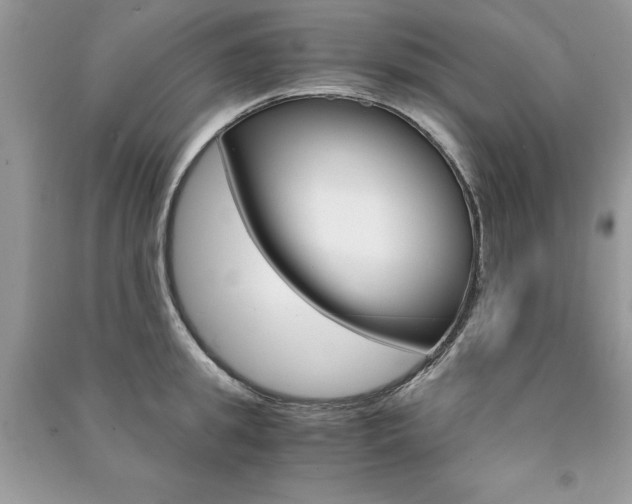 X0000091180949200708091043