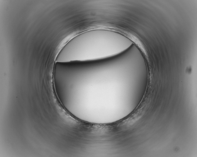 X0000091180954200708091043