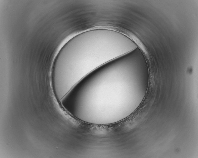 X0000091180955200708091043