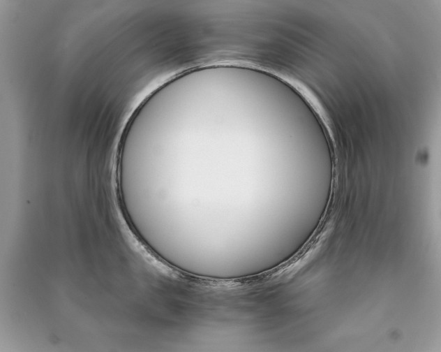 X0000091180957200708091043