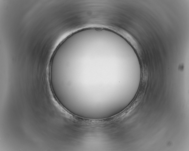 X0000091180958200708091043