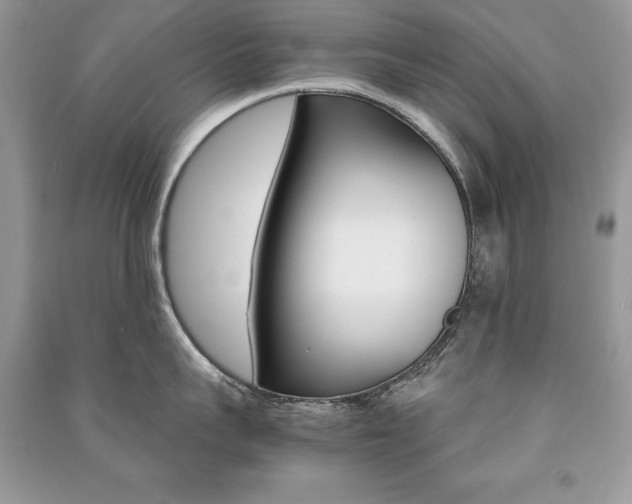 X0000091180959200708091043