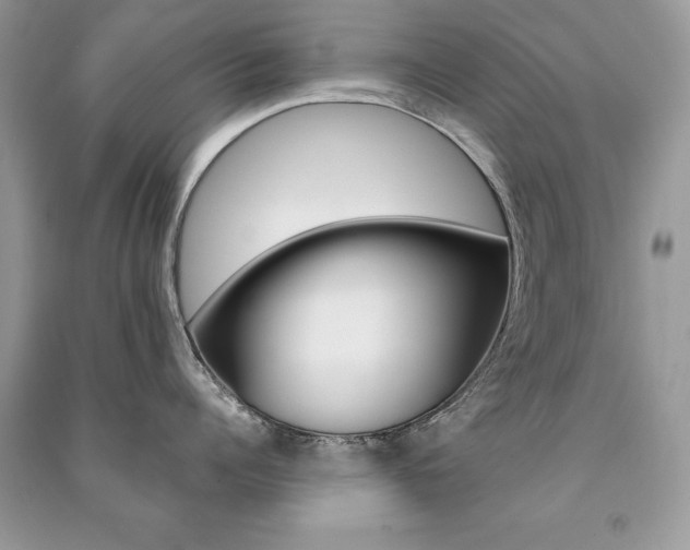 X0000091180960200708091043