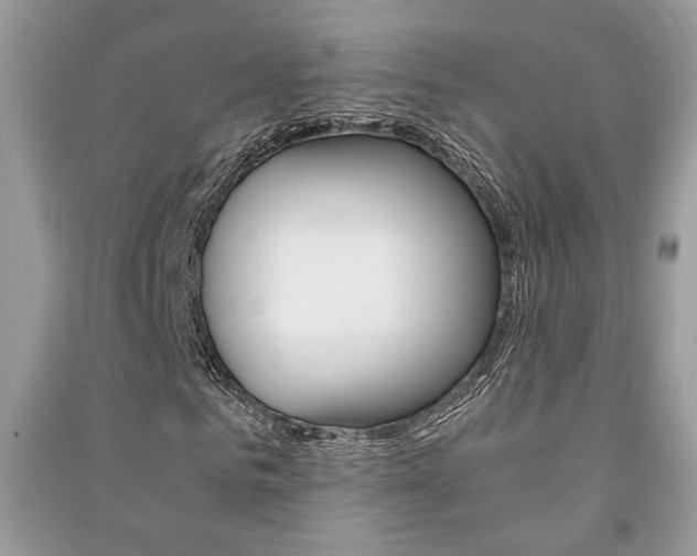 X0000091180961200708091043