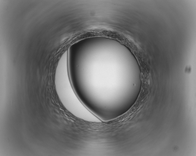 X0000091180965200708091043