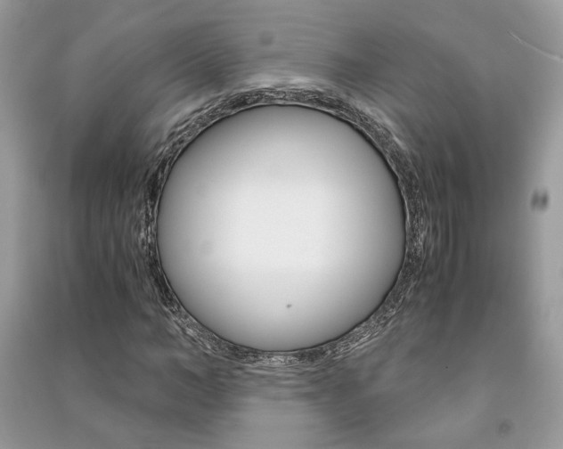X0000091180966200708091043