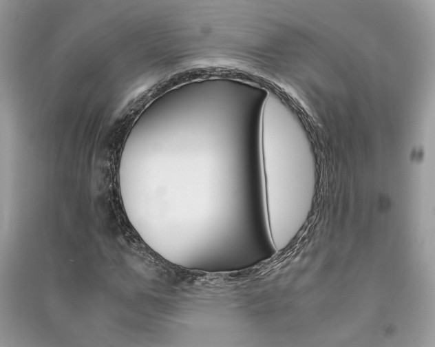 X0000091180967200708091043