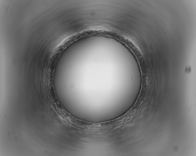 X0000091180968200708091043