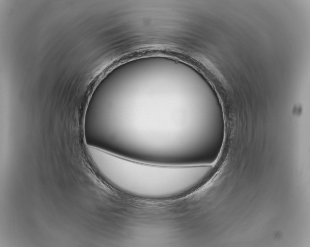 X0000091180969200708091043