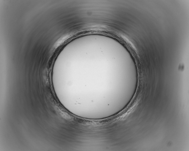 X0000091180970200708091043