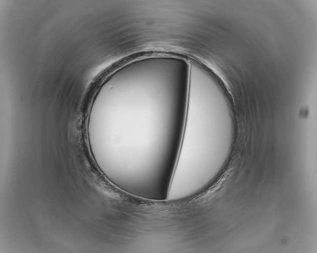 X0000091180971200708091043