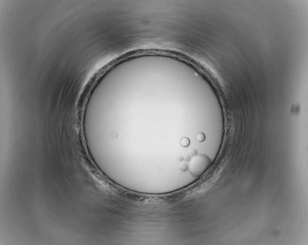 X0000091180974200708091043