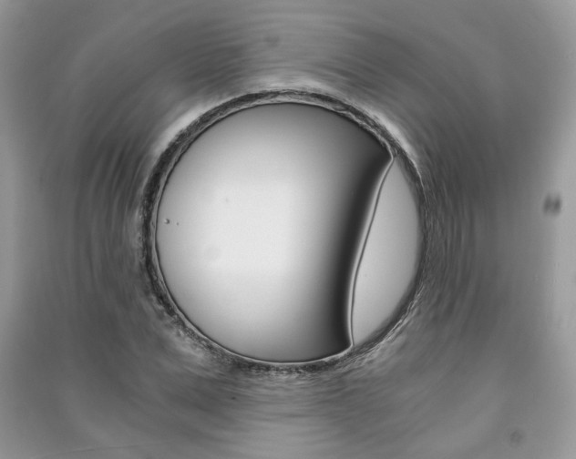 X0000091180975200708091043
