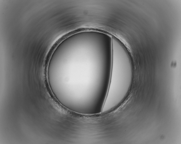 X0000091180976200708091042