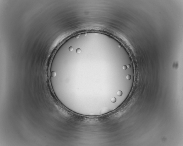 X0000091180978200708091042