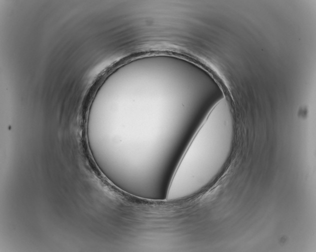 X0000091180979200708091042