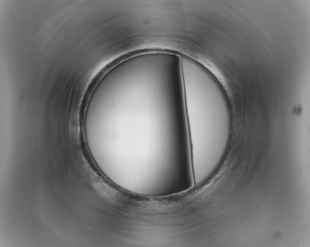X0000091180980200708091042