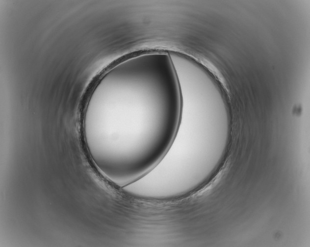 X0000091180981200708091042