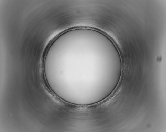 X0000091180982200708091042