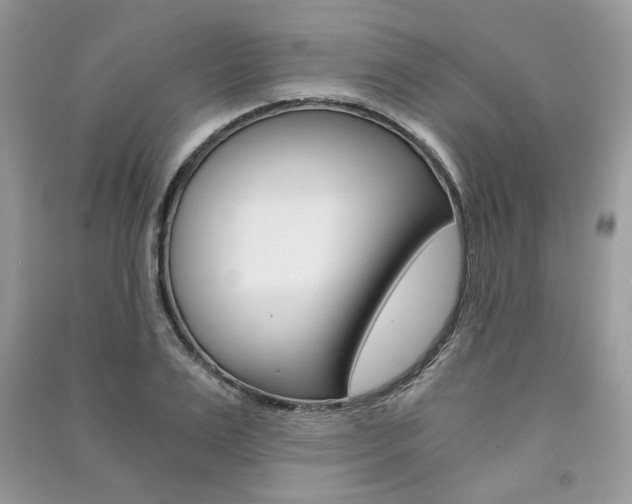 X0000091180983200708091042